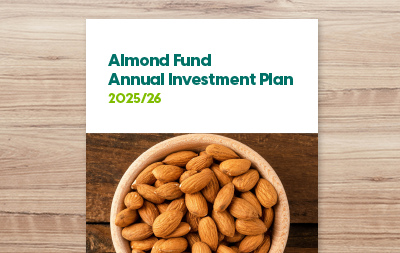 Annual Investment Plan 2025/26