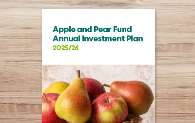 Annual Investment Plan 2025/26