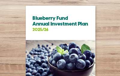Annual Investment Plan 2025/26