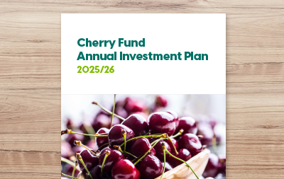 Annual Investment Plan 2025/26