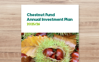 Annual Investment Plan 2025/26