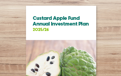 Annual Investment Plan 2025/26