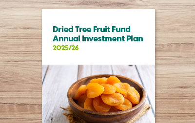 Annual Investment Plan 2025/26