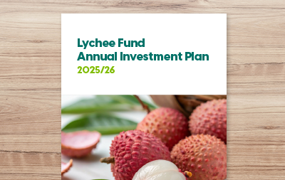 Annual Investment Plan 2025/26