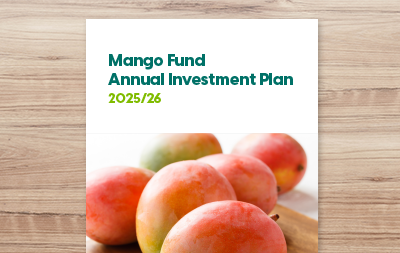Annual Investment Plan 2025/26