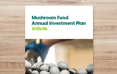 Annual Investment Plan 2025/26