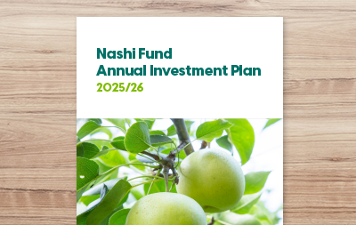 Annual Investment Plan 2025/26