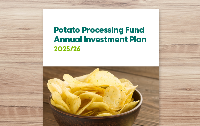 Annual Investment Plan 2025/26