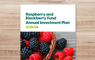 Annual Investment Plan 2025/26