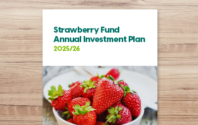 Annual Investment Plan 2025/26