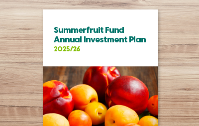 Annual Investment Plan 2025/26