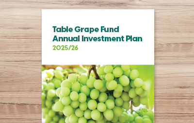 Annual Investment Plan 2025/26