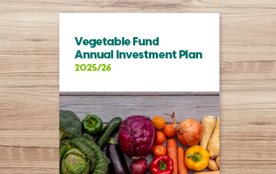Annual Investment Plan 2025/26