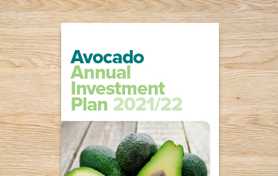 Avocado Annual Investment Plan 2021/22