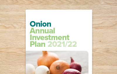 Onion Annual Investment Plan 2021/22