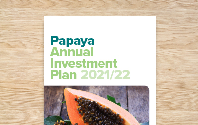 Papaya Annual Investment Plan 2021/22