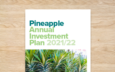Pineapple Annual Investment Plan 2021/22
