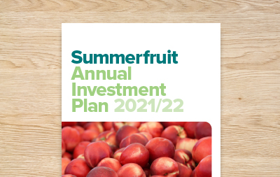 Summerfruit Annual Investment Plan 2021/22