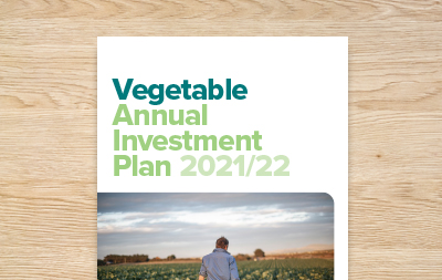 Vegetable Annual Investment Plan 2021/22