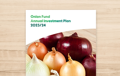 Annual Investment Plan 2023/24