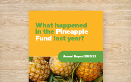 Fund Annual Report 2020/21