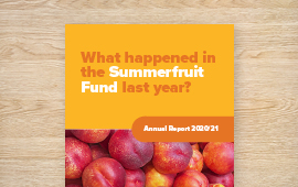 Fund Annual Report 20/21