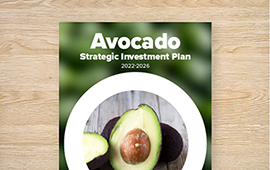 Strategic Investment Plan