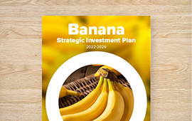 Strategic Investment Plan