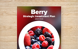 Strategic Investment Plan