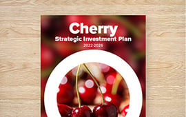 Strategic Investment Plan