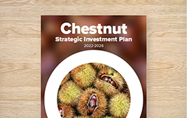 Strategic Investment Plan