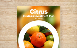 Strategic Investment Plan