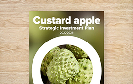 Strategic Investment Plan