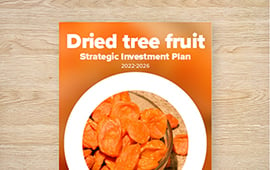 Strategic Investment Plan