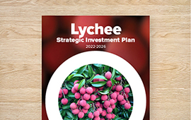 Strategic Investment Plan