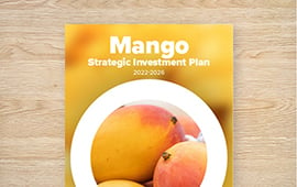 Strategic Investment Plan