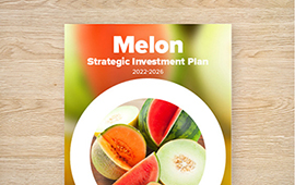 Strategic Investment Plan