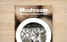 Strategic Investment Plan