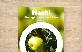 Strategic Investment Plan