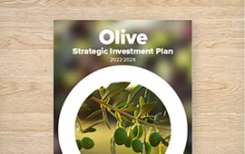 Strategic Investment Plan