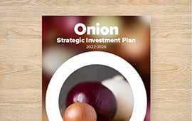 Strategic Investment Plan