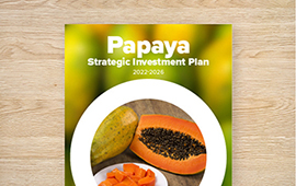 Strategic Investment Plan
