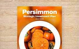 Strategic Investment Plan