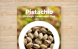 Strategic Investment Plan