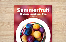 Strategic Investment Plan