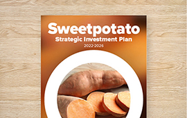 Strategic Investment Plan