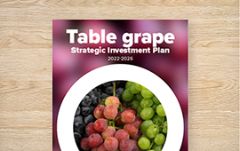 Strategic Investment Plan