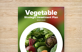 Strategic Investment Plan