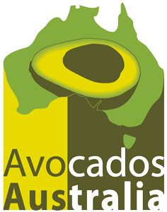 Avocados Australia