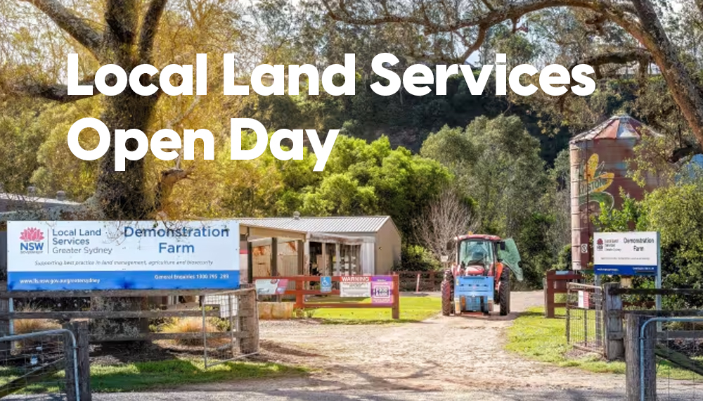 Local Land Services Demonstration Farm open day